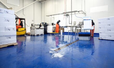 The thermal resistance of resin floors – 5 facts worth to know