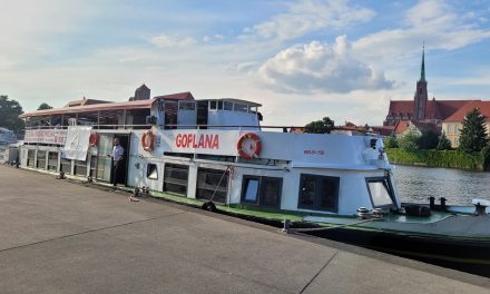 Business Ferryboat Cruise & Party