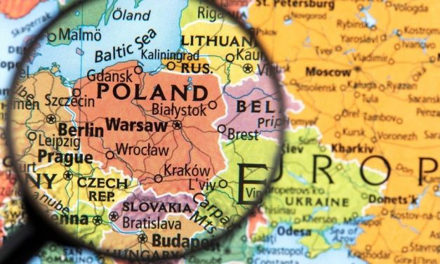 Kto przetrwa ekonomiczną burzę? Analiza sytuacji polskich MŚP na tle firm z Niemiec, Francji, Czech i Słowacji